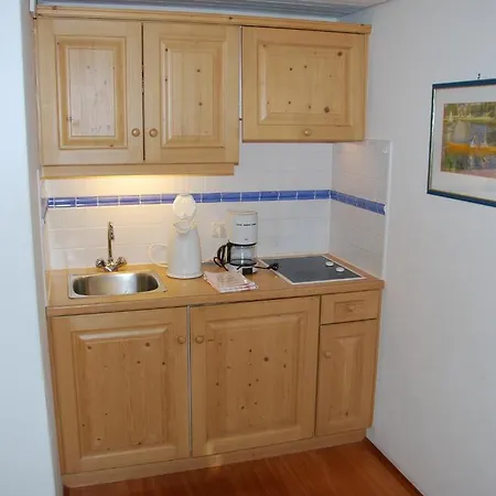 Apartment Aurora Inklusive Freiem Thermeneintritt Bad Hofgastein